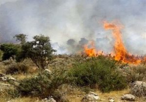وقوع ۵۶ فقره آتش سوزی در استان؛ ۸۶۸ هکتار جنگل طعمه حریق شد