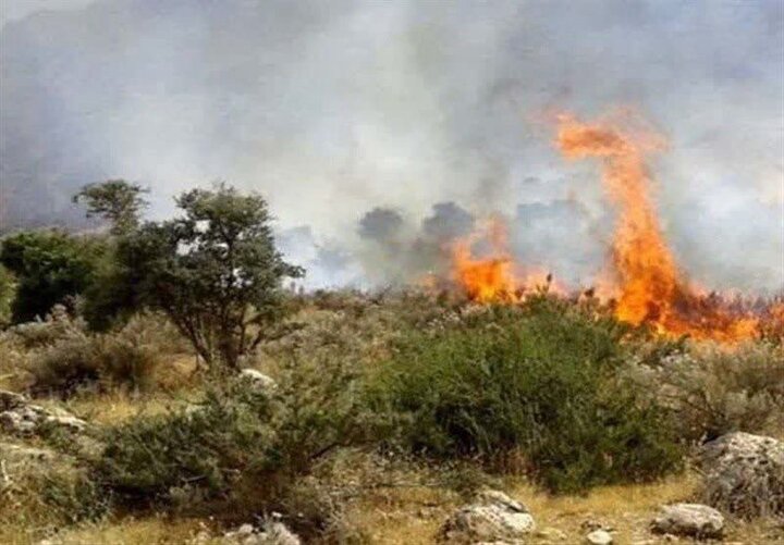 وقوع ۵۶ مورد آتش‌سوزی در کهگیلویه و بویراحمد؛ ۸۶۸ هکتار از جنگل‌ها و مراتع در آتش سوخت