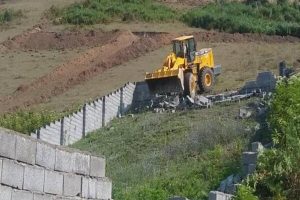 ۲۰هکتار از اراضی کشاورزی سنقر و کلیایی آزادسازی و به چرخه تولید بازگشت