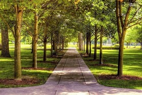 شهرداری بجنورد با احداث سه پارک جدید گام بلندی در توسعه فضای سبز شهری برداشت